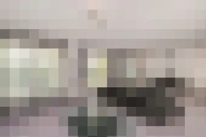 Verhulstplein 19 E Den Haag thumbnail 12