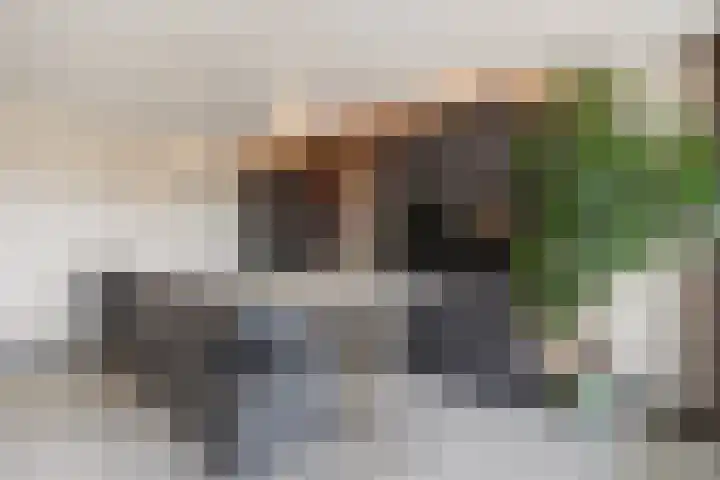 Verhulstplein 19 E Den Haag thumbnail 14