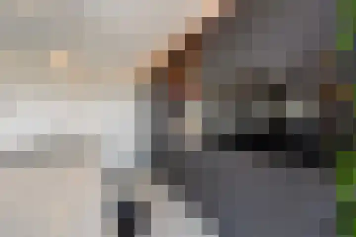 Verhulstplein 19 E Den Haag thumbnail 15