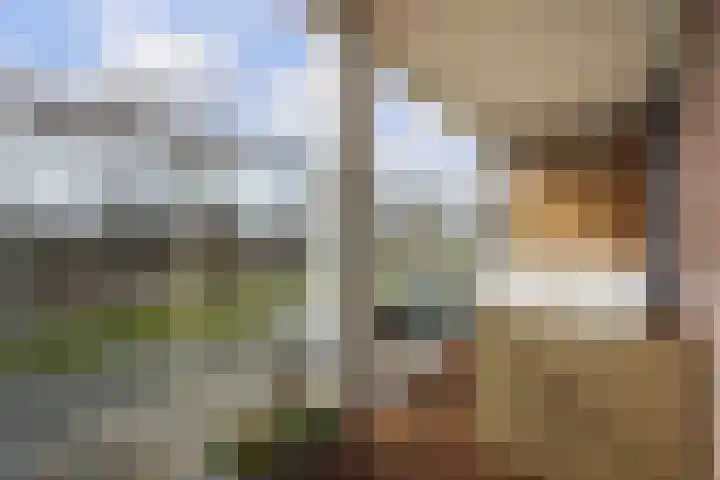 Verhulstplein 19 E Den Haag thumbnail 20