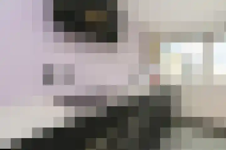 Verhulstplein 19 E Den Haag thumbnail 21
