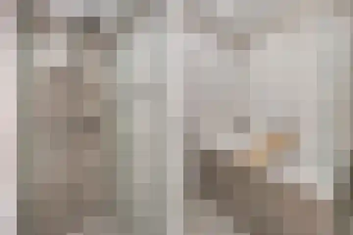 Verhulstplein 19 E Den Haag thumbnail 29