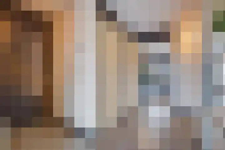 Verhulstplein 19 E Den Haag thumbnail 35