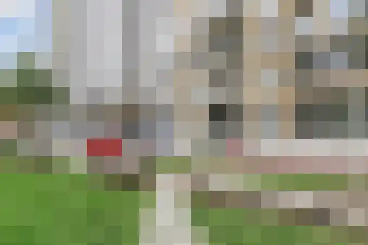 Verhulstplein 19 E Den Haag thumbnail 39