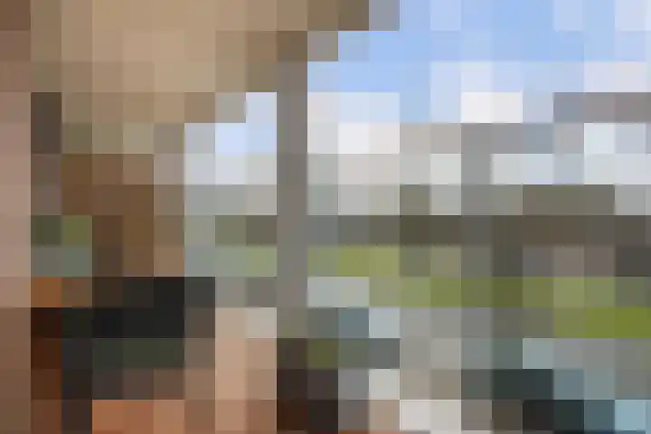 Verhulstplein 19 E Den Haag thumbnail 4