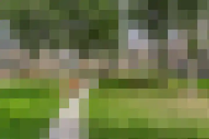 Verhulstplein 19 E Den Haag thumbnail 41