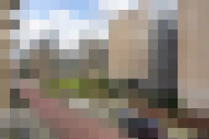 Verhulstplein 19 E Den Haag thumbnail 42