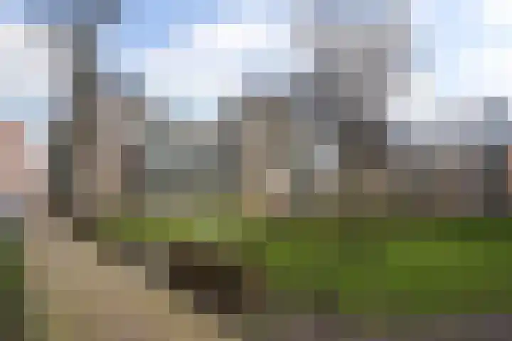 Verhulstplein 19 E Den Haag thumbnail 43