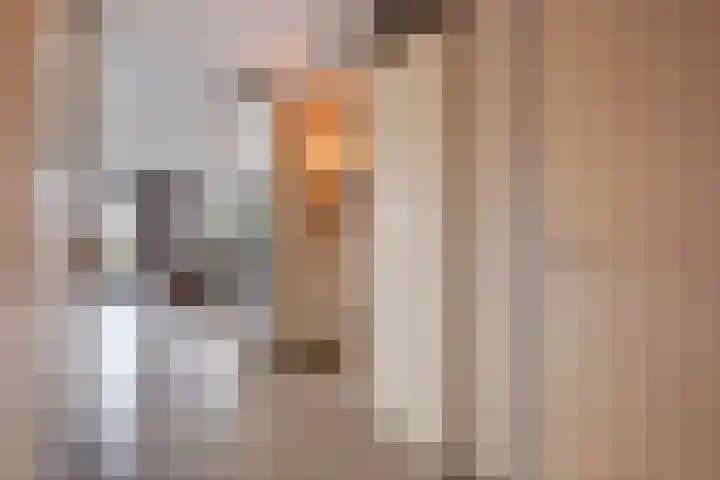 Verhulstplein 19 E Den Haag thumbnail 7
