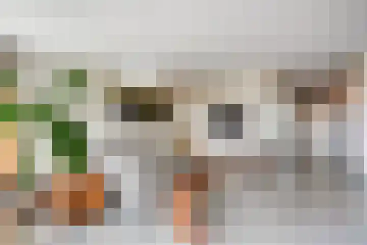 Verhulstplein 19 E Den Haag thumbnail 8