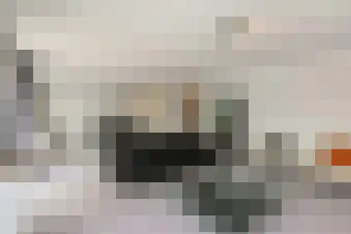 Verhulstplein 19 E Den Haag thumbnail 9