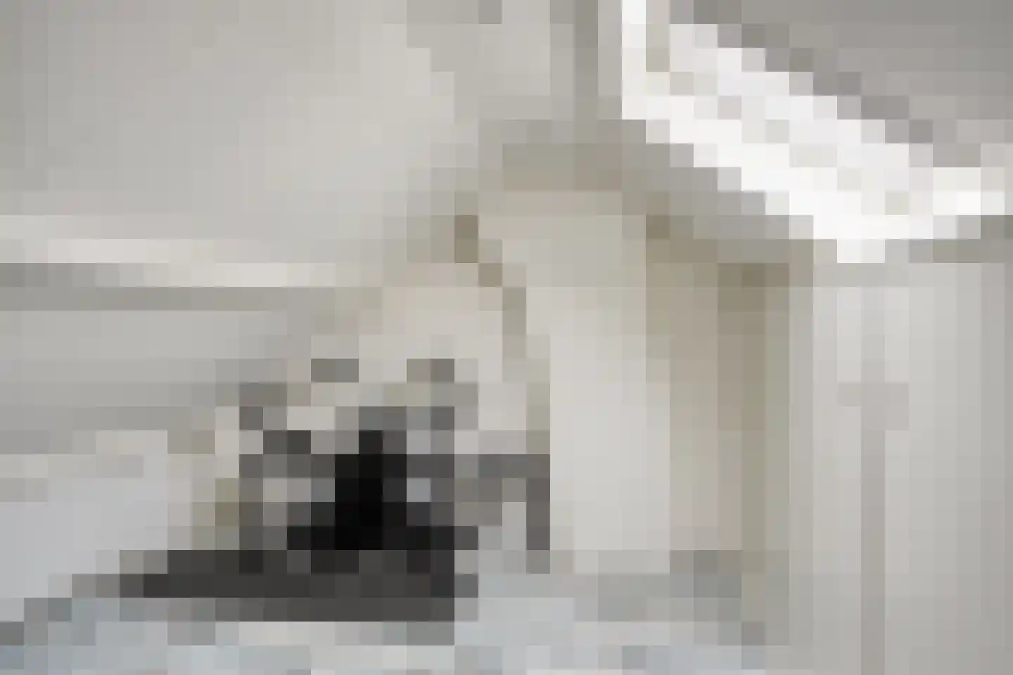 Verhulststraat 2 Elst thumbnail 26