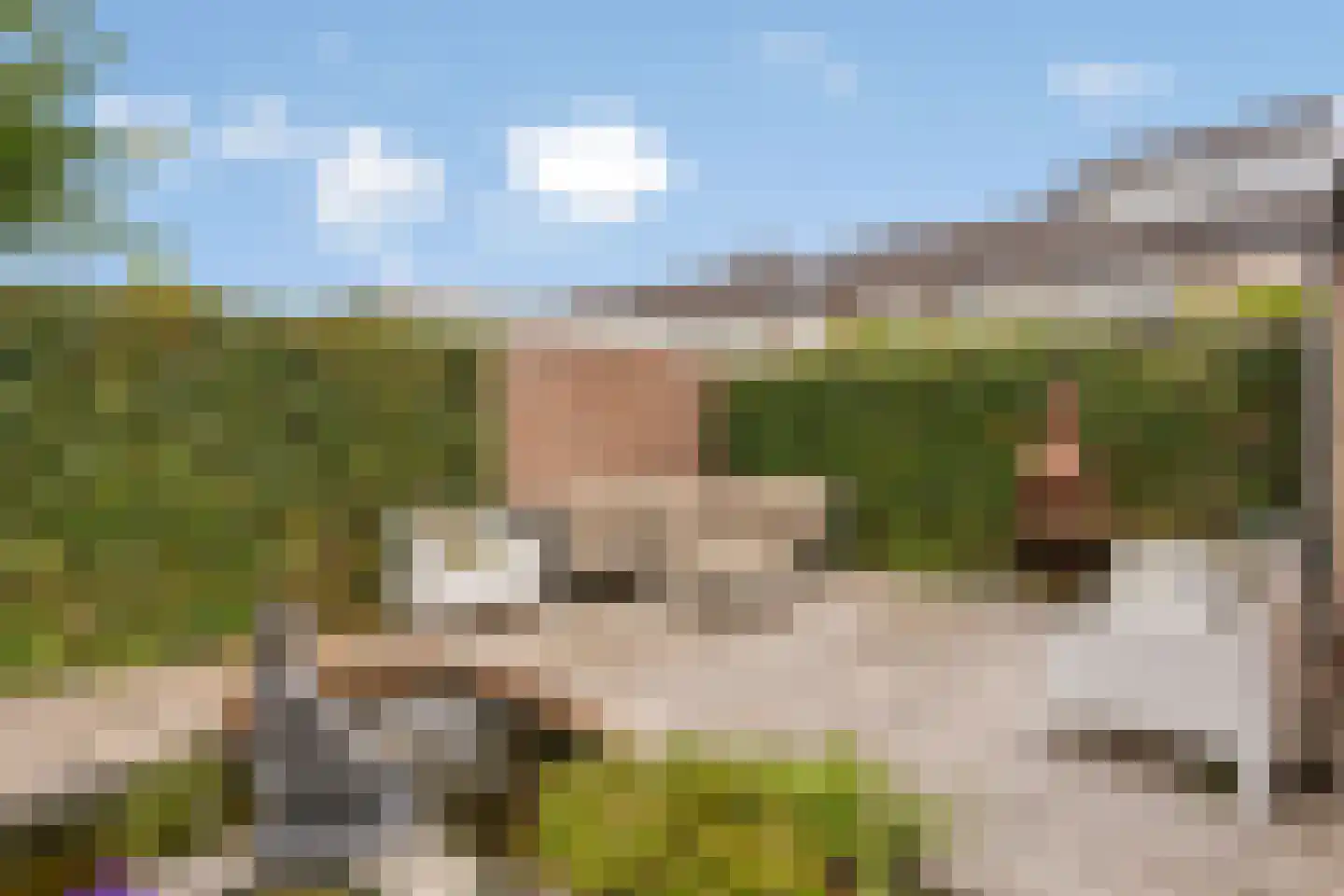Verhulststraat 2 Elst thumbnail 30