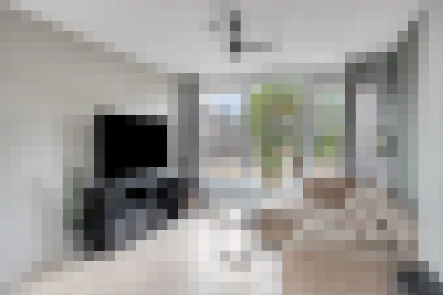 Verhulststraat 2 Elst thumbnail 4
