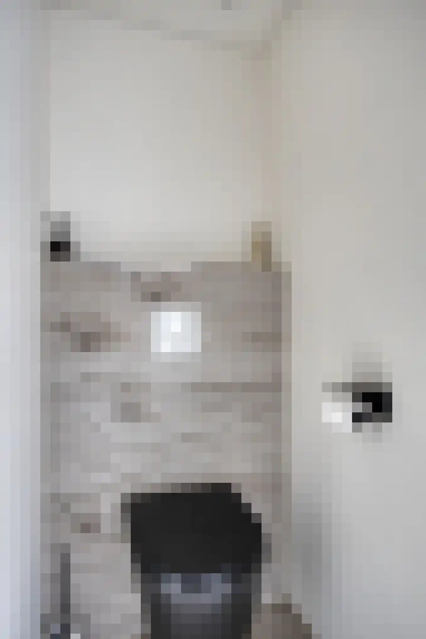 Verhulststraat 2 Elst thumbnail 9