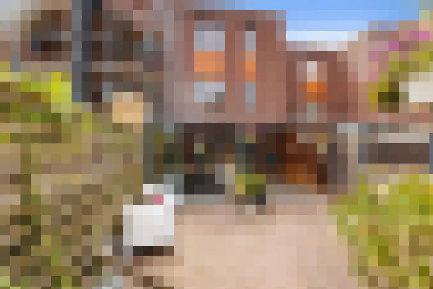 Verhulststraat 24 Zwolle thumbnail 36
