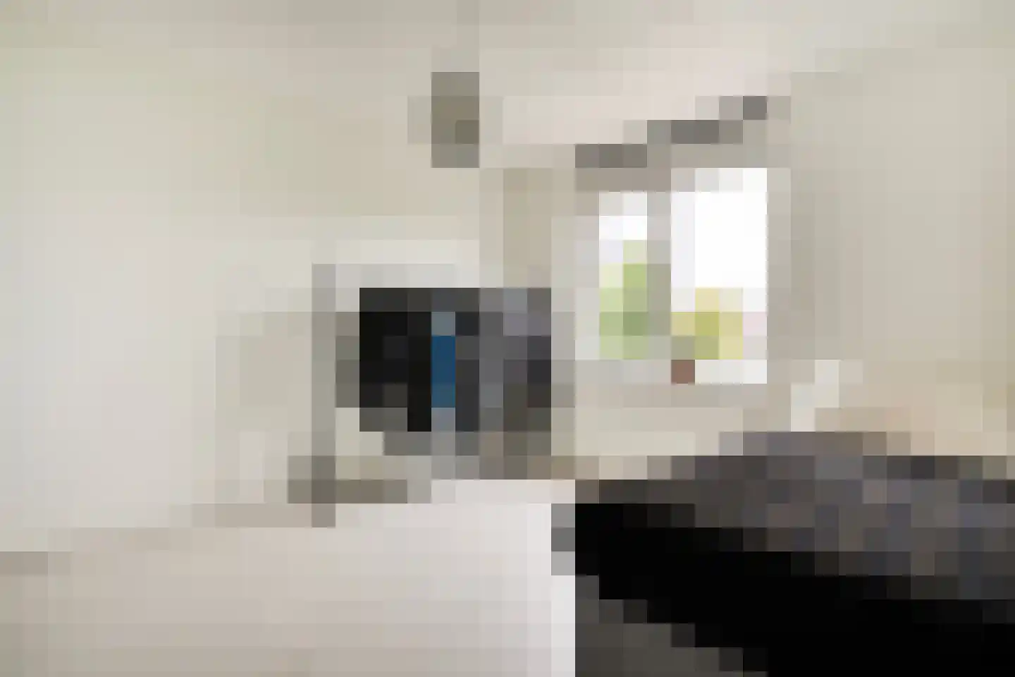 Verhulststraat 28 Zwolle thumbnail 32