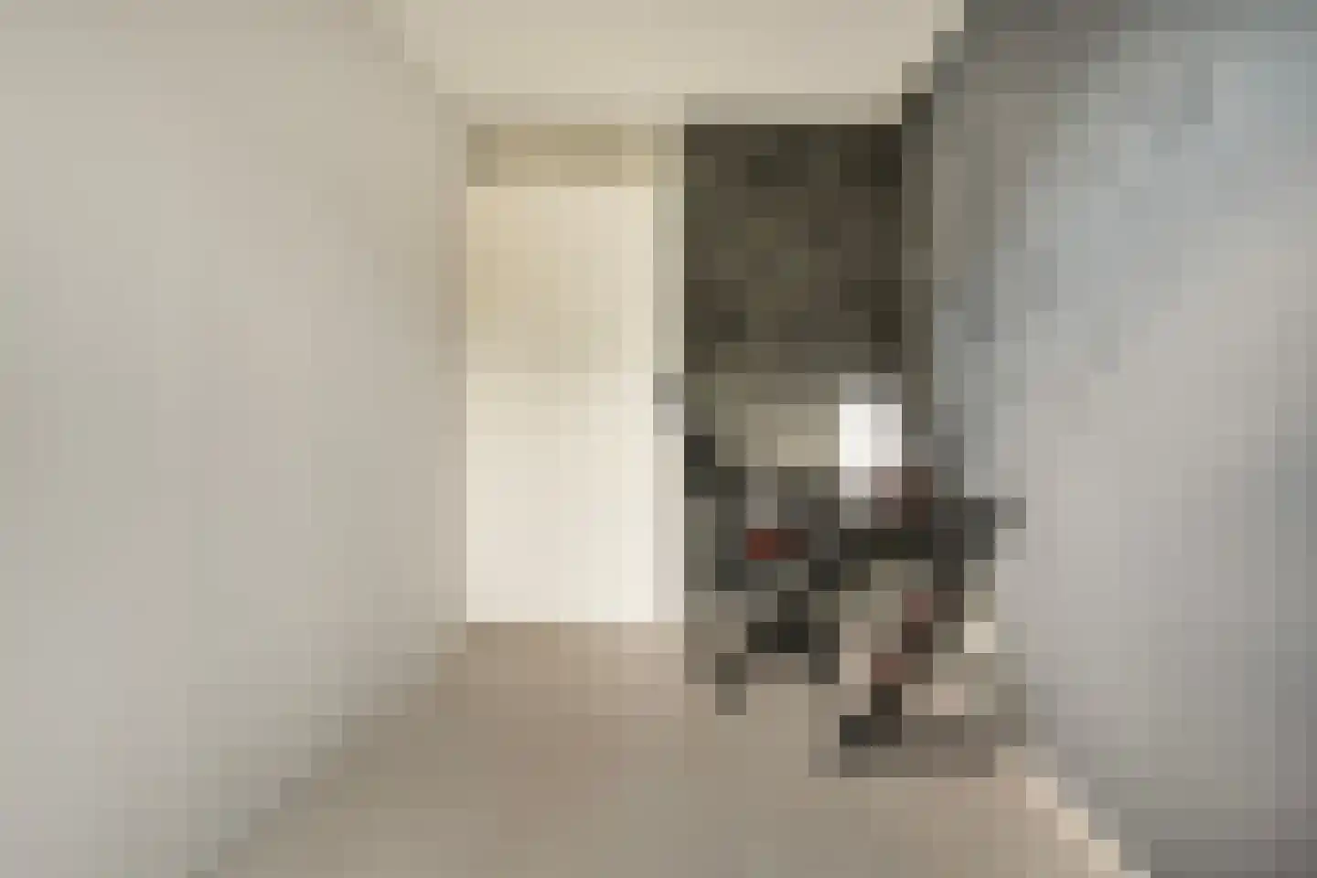 Verhulststraat 28 Zwolle thumbnail 35