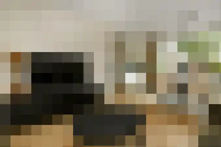 Verhulststraat 4 Elst thumbnail 11