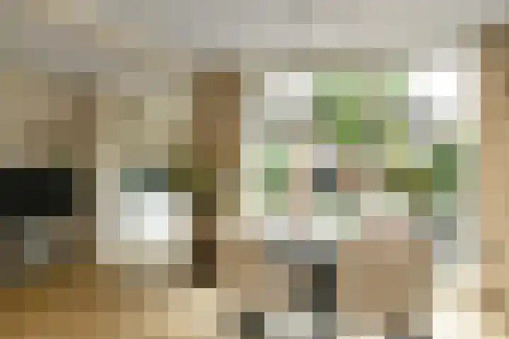 Verhulststraat 4 Elst thumbnail 12
