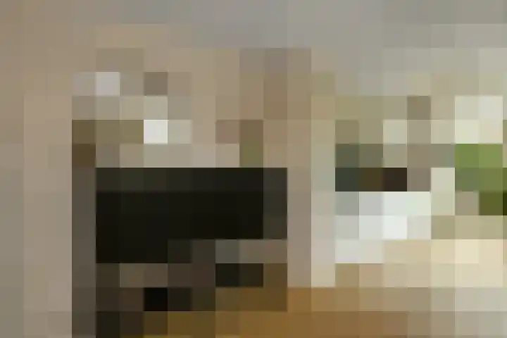 Verhulststraat 4 Elst thumbnail 13