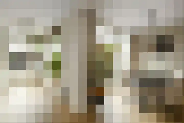 Verhulststraat 4 Elst thumbnail 14