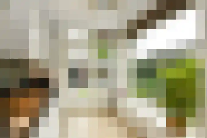 Verhulststraat 4 Elst thumbnail 15
