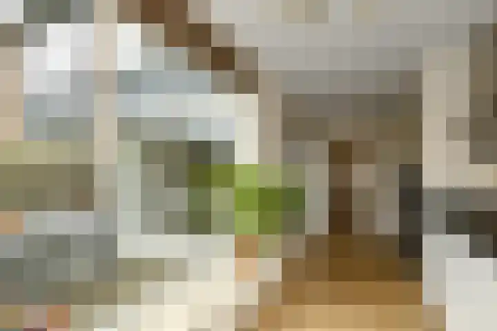 Verhulststraat 4 Elst thumbnail 16