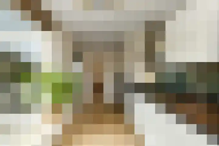 Verhulststraat 4 Elst thumbnail 17