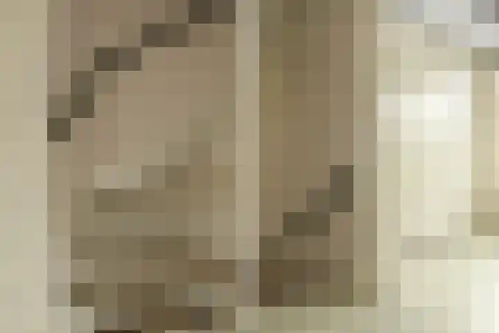 Verhulststraat 4 Elst thumbnail 19