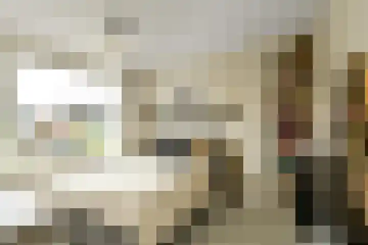 Verhulststraat 4 Elst thumbnail 20