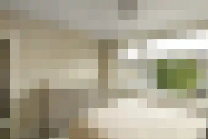 Verhulststraat 4 Elst thumbnail 22