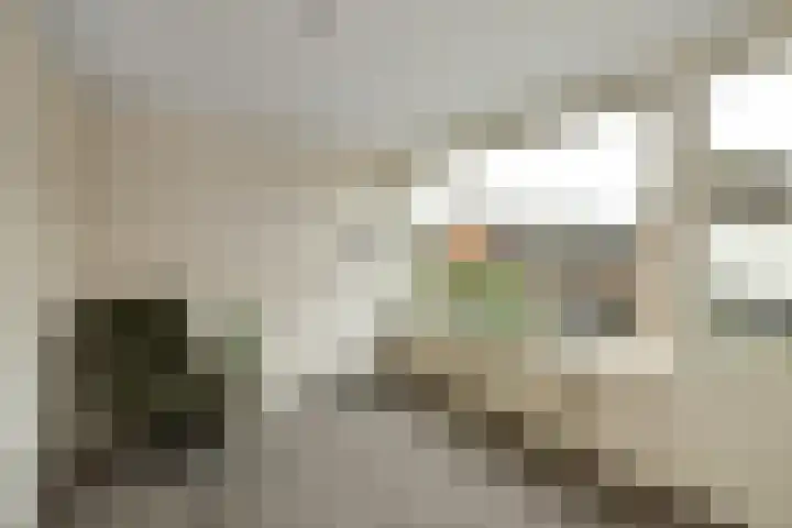 Verhulststraat 4 Elst thumbnail 24