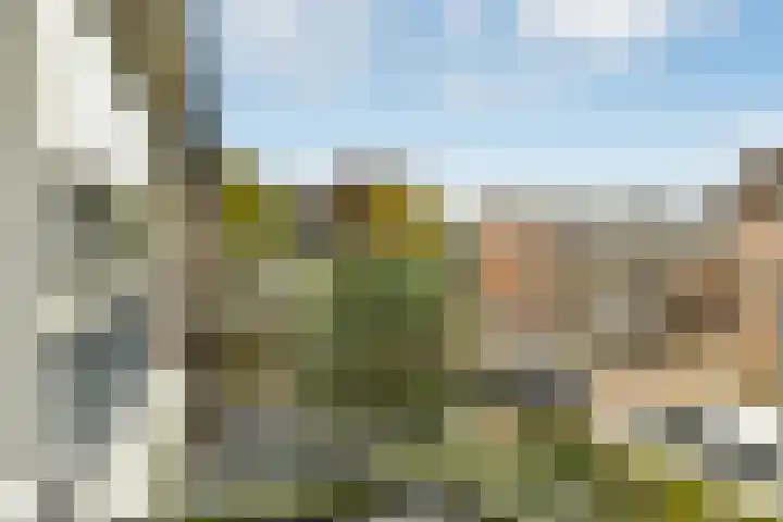Verhulststraat 4 Elst thumbnail 27