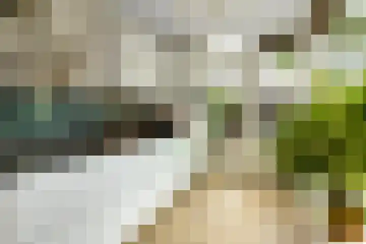 Verhulststraat 4 Elst foto 3