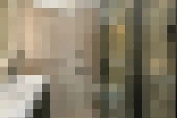 Verhulststraat 4 Elst thumbnail 30