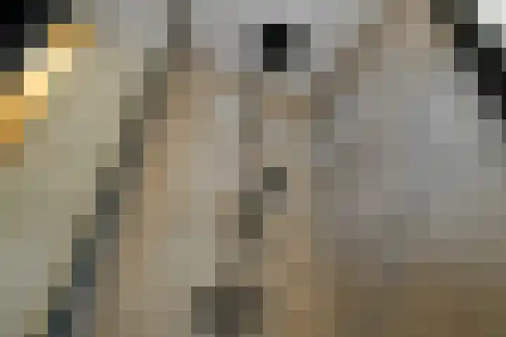 Verhulststraat 4 Elst thumbnail 31