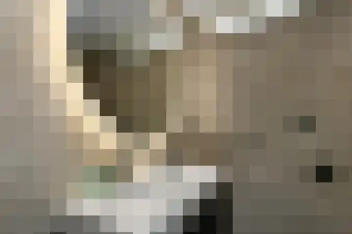 Verhulststraat 4 Elst thumbnail 32