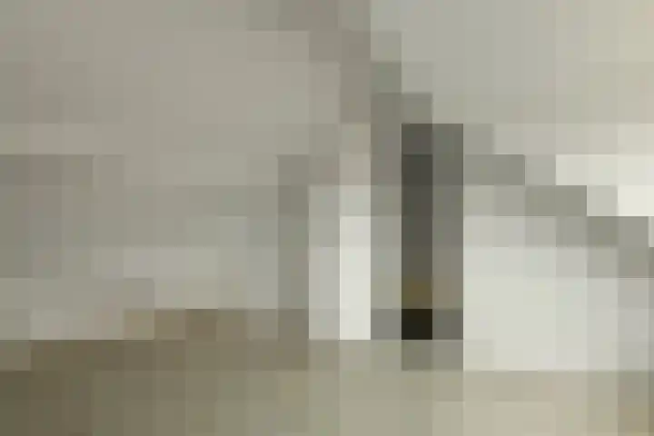 Verhulststraat 4 Elst thumbnail 35