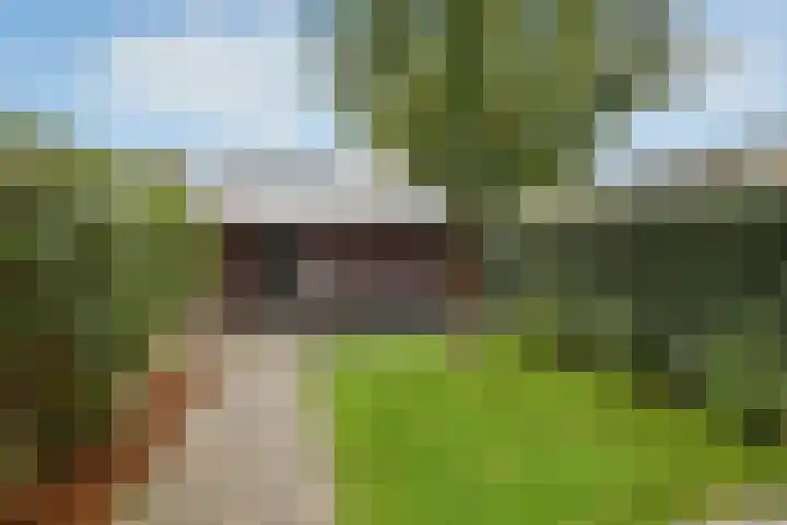 Verhulststraat 4 Elst thumbnail 40