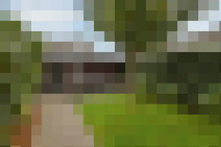 Verhulststraat 4 Elst thumbnail 41