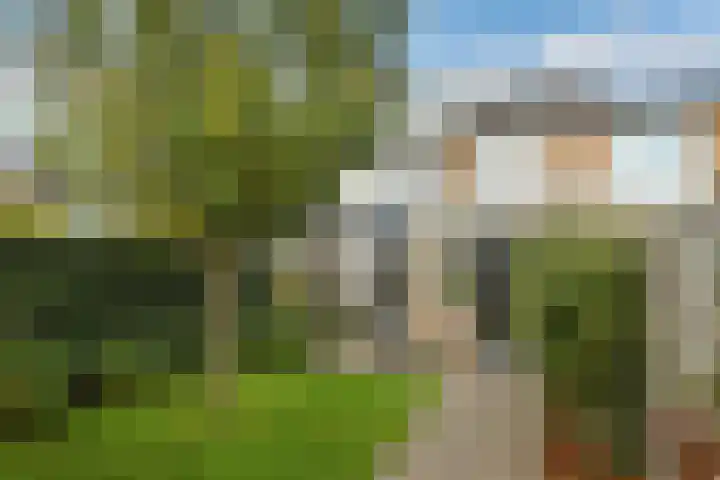 Verhulststraat 4 Elst thumbnail 43