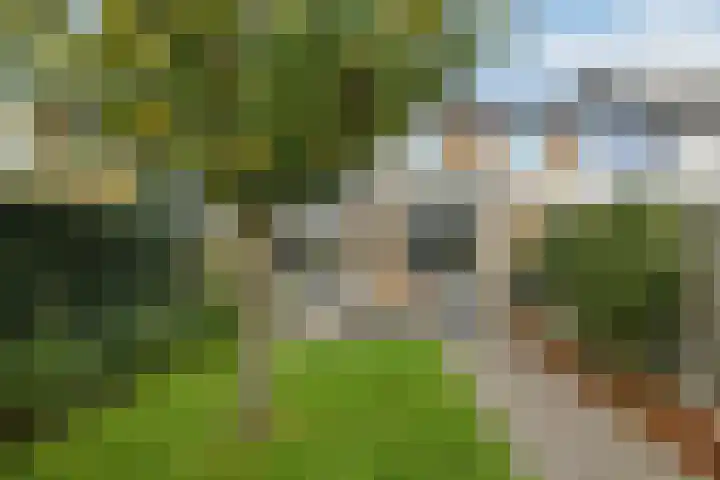 Verhulststraat 4 Elst thumbnail 44