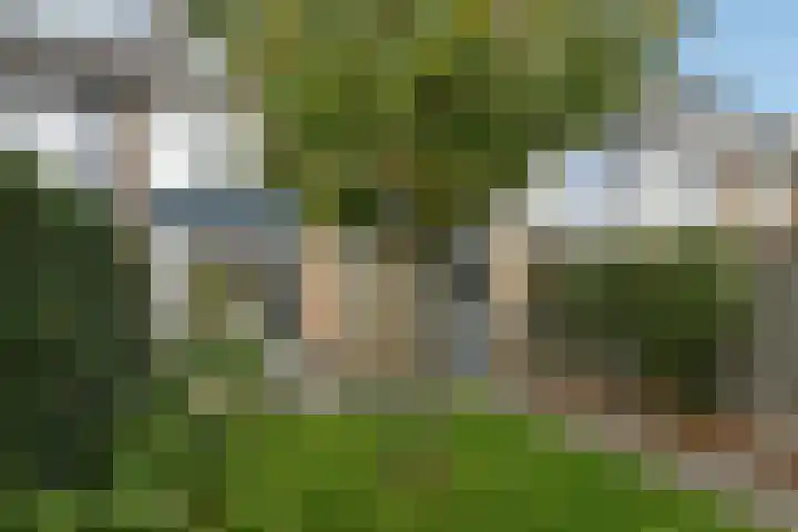 Verhulststraat 4 Elst thumbnail 45