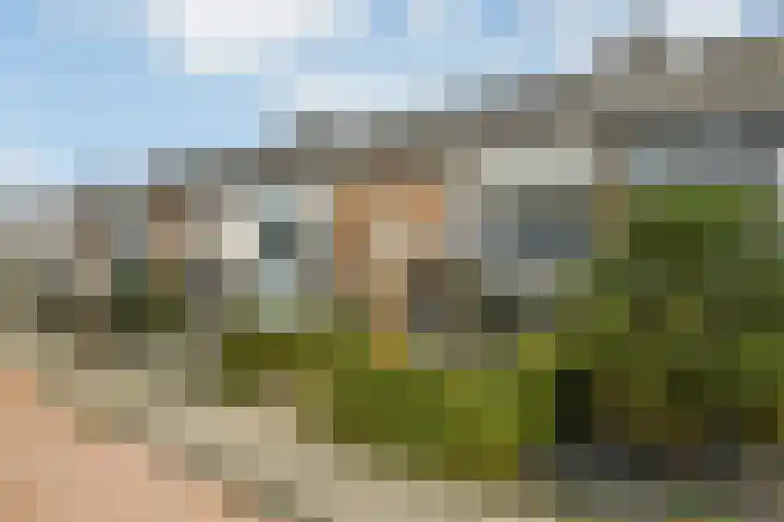 Verhulststraat 4 Elst thumbnail 5