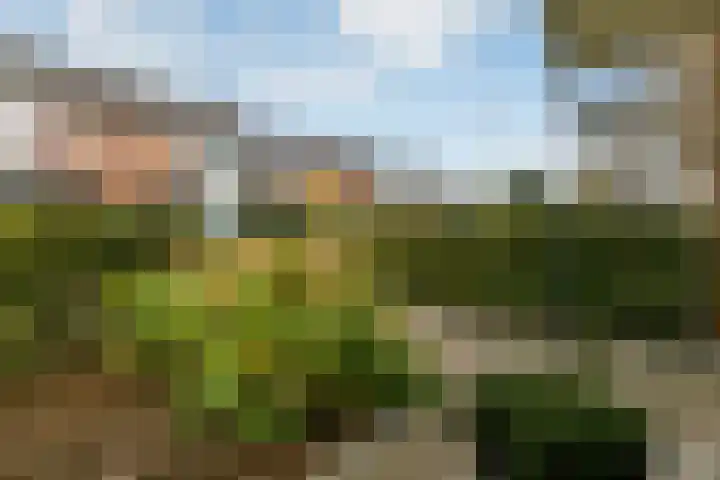 Verhulststraat 4 Elst thumbnail 6