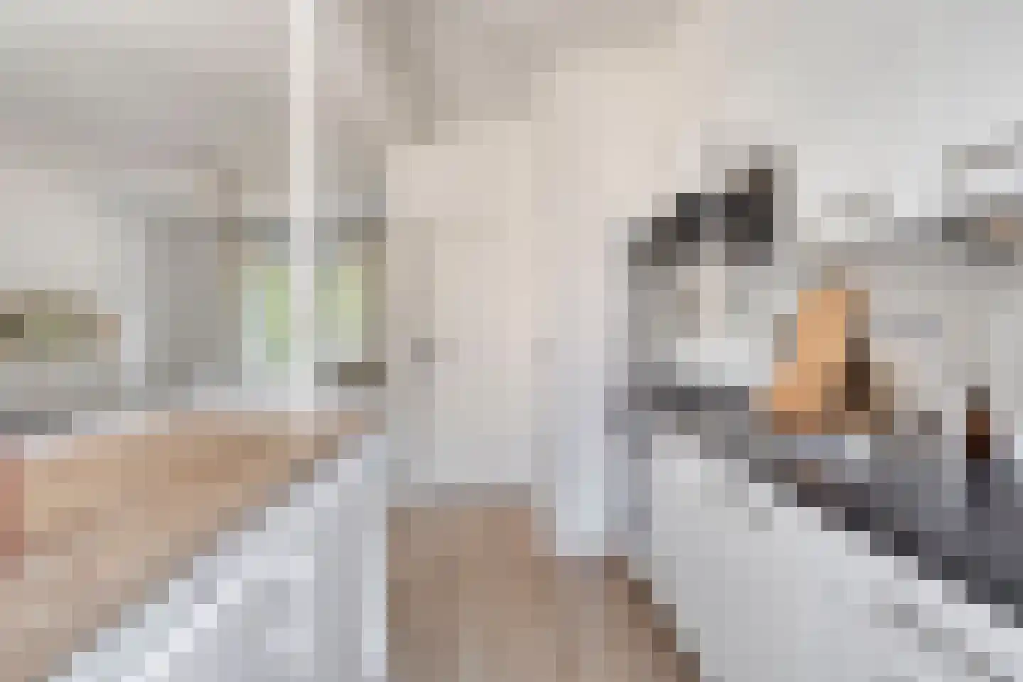 Verhulststraat 40 Eindhoven thumbnail 10
