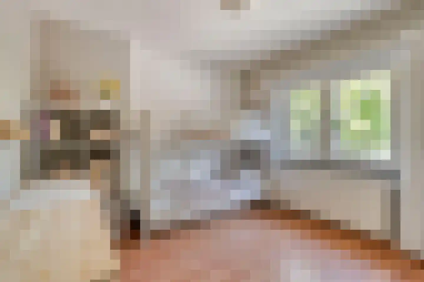 Verhulststraat 40 Eindhoven thumbnail 14