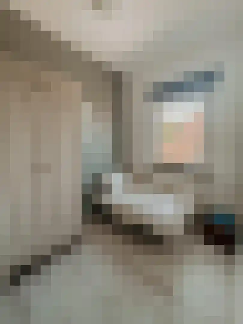 Verhulststraat 40 Eindhoven thumbnail 17
