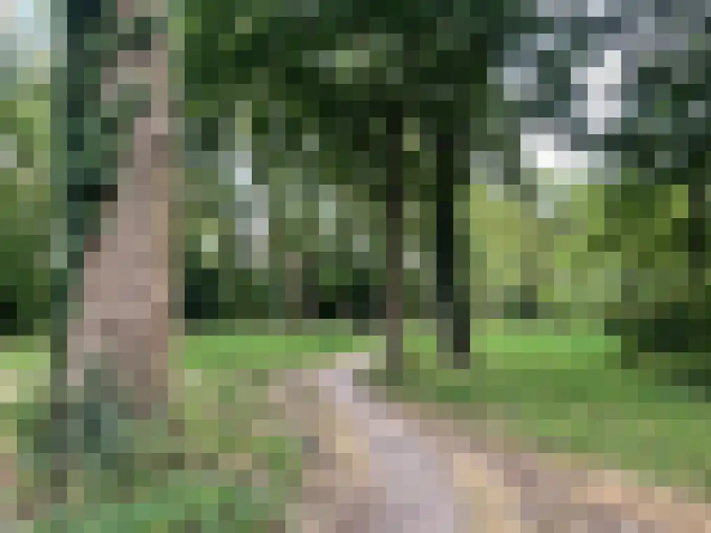 Verhulststraat 40 Eindhoven thumbnail 31